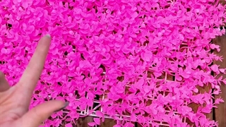 گرین وال مصنوعی رنگی