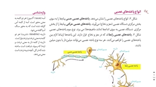 روش مطالعه زیست