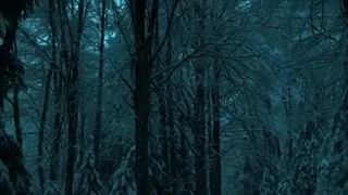 گمشده در جزیره:>>"کپشن مهم"