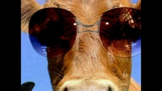 تقدیم به سالی مامان بزرگ گاومیشم: کپ