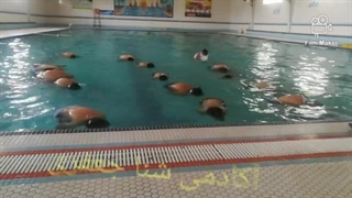 آموزش شنا اهر، بهنام جعفری