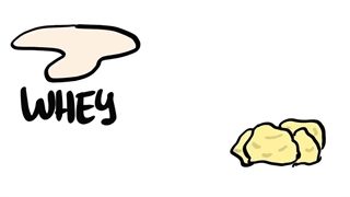 پودر آب پنیر یا پروتئین Whey