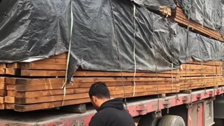 ارسال ترموود درجه یک ساسنا روسیه