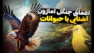 سفر به اعماق جنگل امازون، آشنایی با حیوانات جنگل!