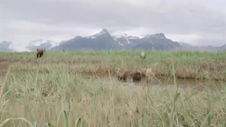 خرس کاتما قسمت 3