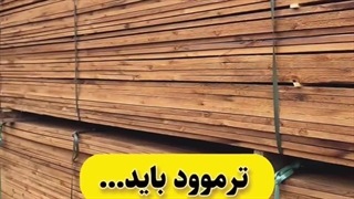 ترموود باید...