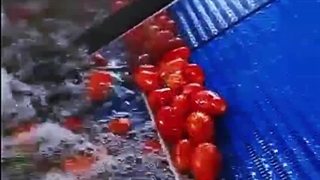 دستگاه شستشوی تمام اتوماتیک میوه و صیفی جات