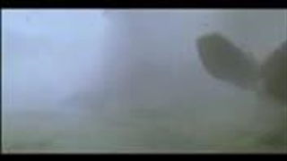 Godzilla vs. Gamera Movie.webm