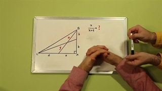 تیپ شخصیتی جستجوگر