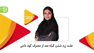 علت زرد شدن گیاه بعد از مصرف کود دامی