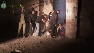 تاثیر سکناس تجاوز به پردیس احمدیه در پوست شیر و گریه هایش