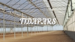 گلخانه کشت نشاء