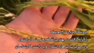 عرضه انواع برنج درجه یک