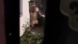 سخنان مهم لطفا توجه کنید