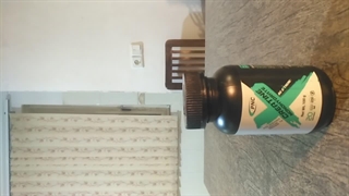 نگاهی کوتاه به مکمل کراتین مونوهیدرات شرکت کارن