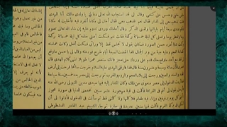 ادعای یکی از علمای اهل تسنن مبنی بر دیدار با امام زمان علیه السلام