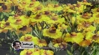 دانلود گلچین بهترین آهنگ های علیرضا افتخاری یکجا