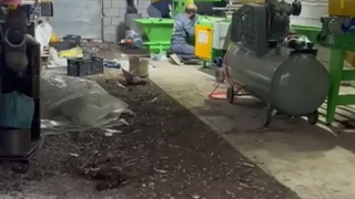 خرید ماشین بذرکار نشا برای گلخانه تولید نشا در عراق