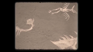 تریلر بازی Skull Island Rise of Kong