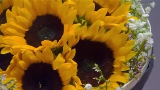 گل یاس آنلاین بندرعباس