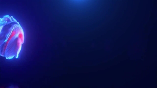 آپلود ویدیو در IGTV اینستاگرام به همراه آموزش تصویری