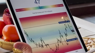 الان آلتکوین بخریم یا بیت کوین؟