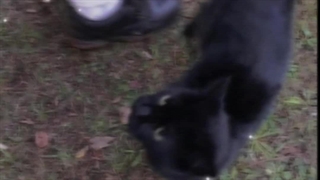 ᴍʏ ᴠɪʙᴇ>>>>کپ‌شن