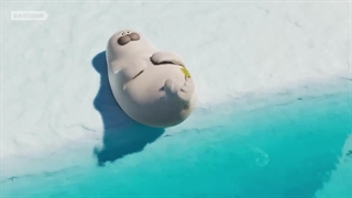 کارتون بامزه‌ی فوک های دریایی | گرفتمت!