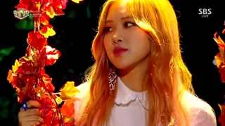 اجرای آهنگ stay از بلک پینک در اینکیگایو SBS