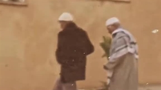 صاداقته حقیقی