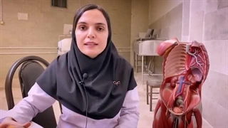 بهداشت زنان،چیزهایی که باید سالها قبل بهت میگفتن(توضیحات)