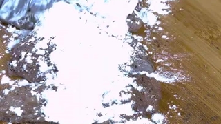 برترین ساندویچ ها