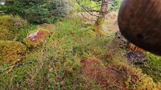 طرز تهیه کباب مغز استخوان