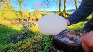 طرز تهیه بیف در طبیعت