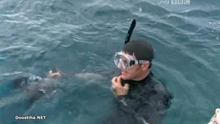 Deadly 60 قسمت 4