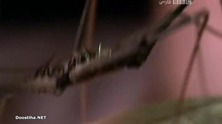 Deadly 60 قسمت 7