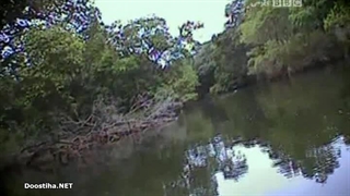 Deadly 60 قسمت 8