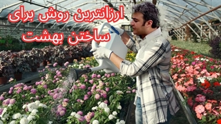 روش صحیح کاشتن بذر گل