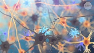 روز جهانی پارکینسون