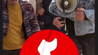 سینما شغلم نیست، عشقمه