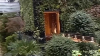 اجرای روف گاردن و دیوار سبز پروژه گروه صنعتی گلرنگ