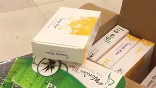 رضایت مشتری بیوتی کالا