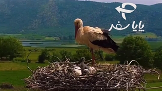 بهاری پرماجرا با اتوبوس‌های پایاسفر به دل جاهای دیدنی کردستان