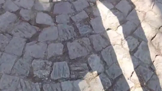 با خرید ساک دستی چاپگ وسایل عصرونه ات رو راحت جا به جا کن!