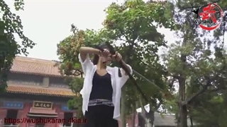 سلاح سرد در رشته ورزشی ووشو