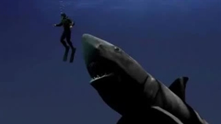 Megalodon.flv