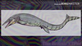 BFB 8 Band Geeks Jumpscare Fucking Bemb Up To Fast