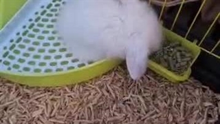 رضایت مشتری عزیزمون از تهران