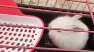 رضایت مشتری محترم مون از تهران