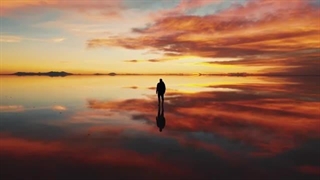 14021226: تا حالا عاشق شدی؟